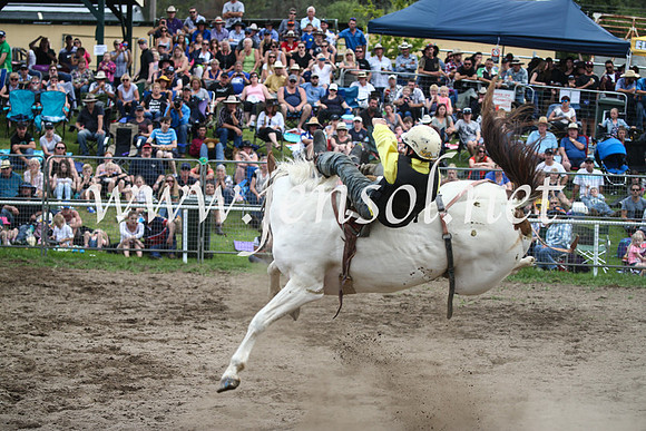 MoruyaRodeo2017_7095