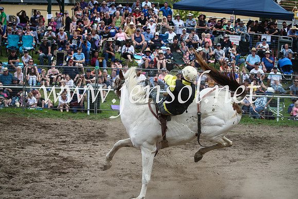MoruyaRodeo2017_7097