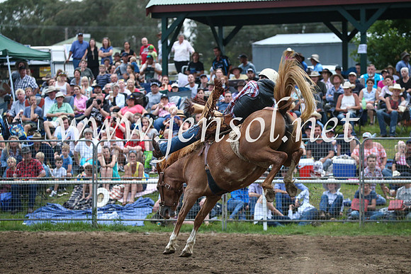 MoruyaRodeo2017_7981