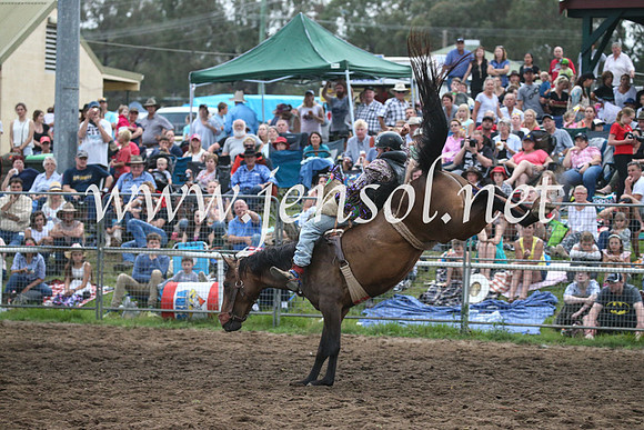 MoruyaRodeo2017_7999
