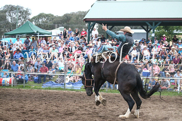 MoruyaRodeo2017_8085