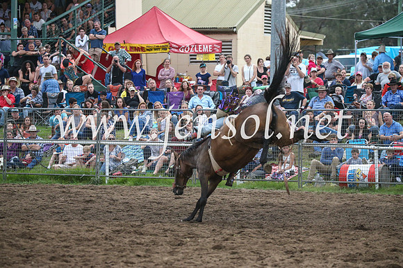 MoruyaRodeo2017_7996