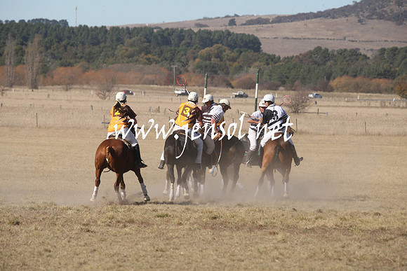 BungendorePolocrosse2013_1D_Sat_0216