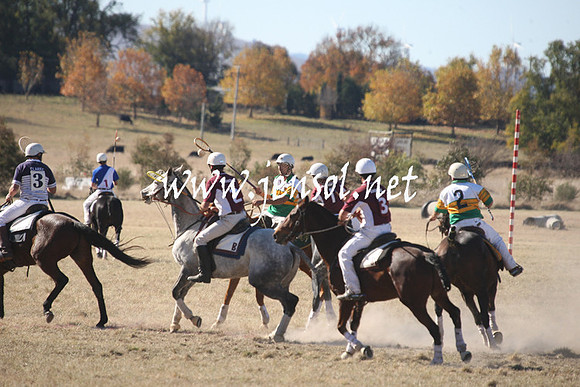 BungendorePolocrosse2013_1D_Sat_0320