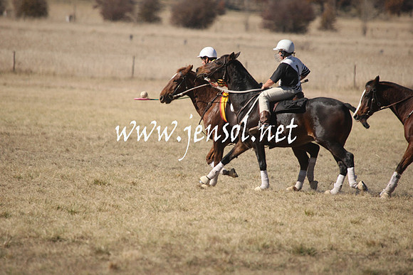 BungendorePolocrosse2013_1D_Sat_0099