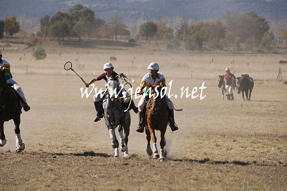 BungendorePolocrosse2013_1D_Sat_0324
