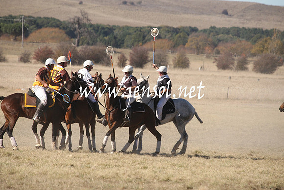 BungendorePolocrosse2013_1D_Sat_0247