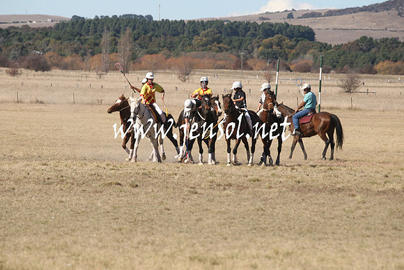 BungendorePolocrosse2013_1D_Sat_0127