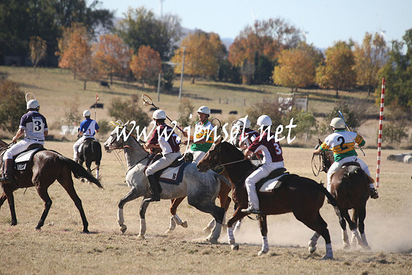 BungendorePolocrosse2013_1D_Sat_0321