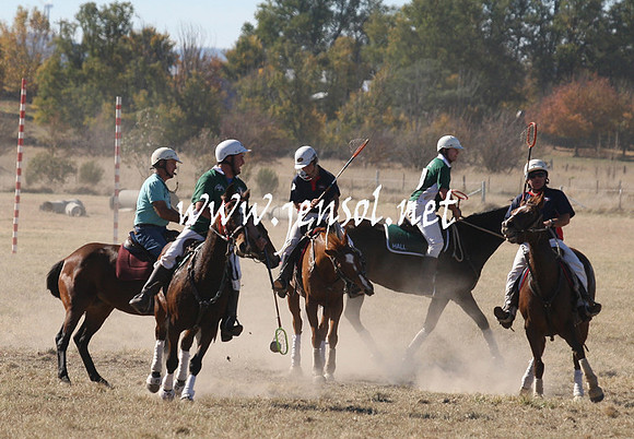 BungendorePolocrosse2013_1D_Sat_0118