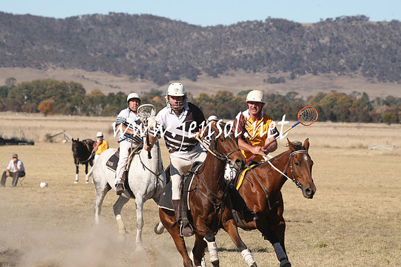 BungendorePolocrosse2013_1D_Sat_0309