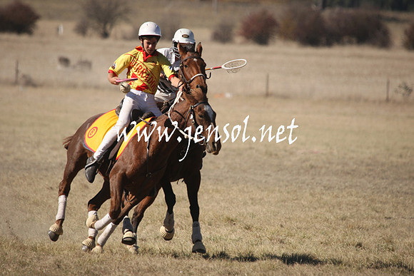 BungendorePolocrosse2013_1D_Sat_0107
