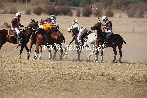 BungendorePolocrosse2013_1D_Sat_0244