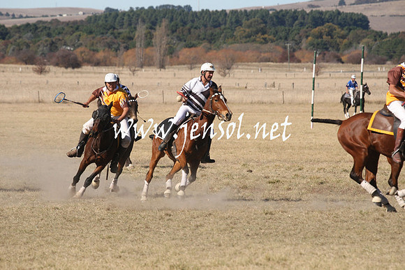 BungendorePolocrosse2013_1D_Sat_0276