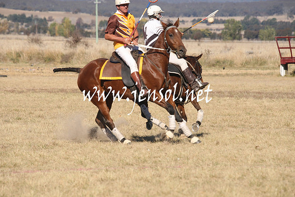BungendorePolocrosse2013_1D_Sat_0315