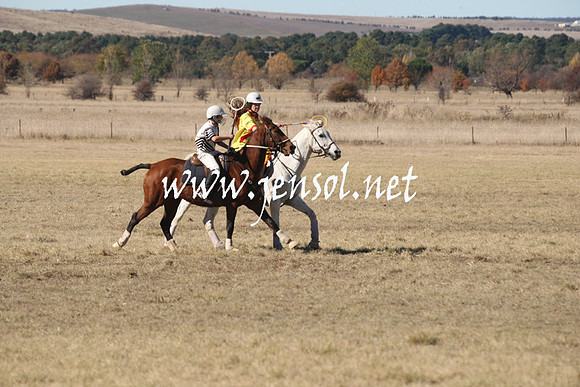 BungendorePolocrosse2013_1D_Sat_0070