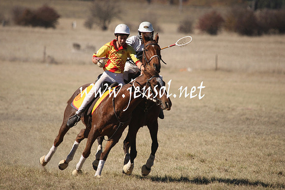 BungendorePolocrosse2013_1D_Sat_0106