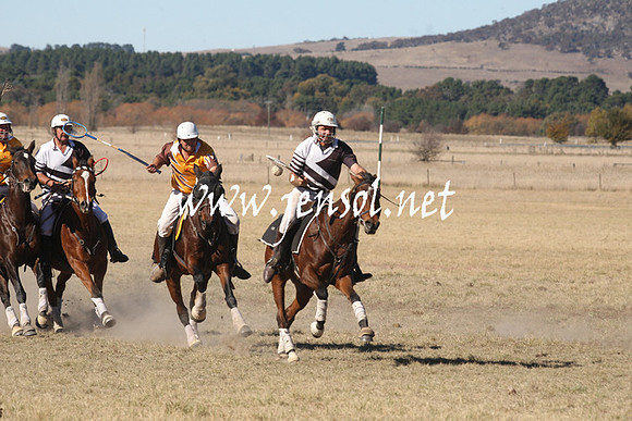 BungendorePolocrosse2013_1D_Sat_0306