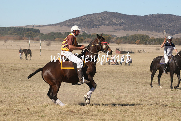 BungendorePolocrosse2013_1D_Sat_0348