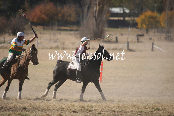 BungendorePolocrosse2013_1D_Sat_0225