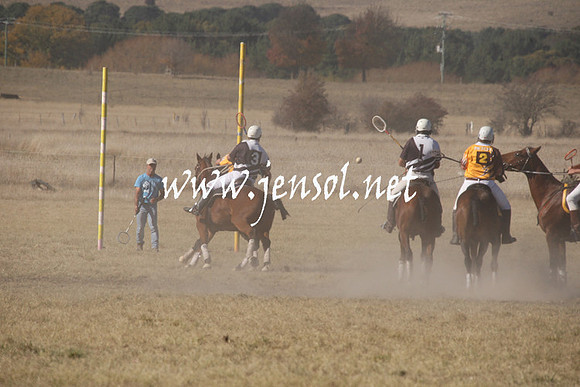 BungendorePolocrosse2013_1D_Sat_0270