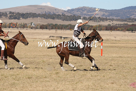BungendorePolocrosse2013_1D_Sat_0292