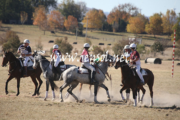 BungendorePolocrosse2013_1D_Sat_0319