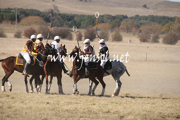 BungendorePolocrosse2013_1D_Sat_0246