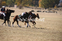 BungendorePolocrosse2013_1D_Sat_0052