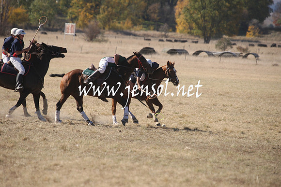 BungendorePolocrosse2013_1D_Sat_0052