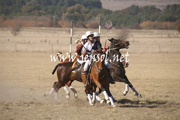 BungendorePolocrosse2013_1D_Sat_0186