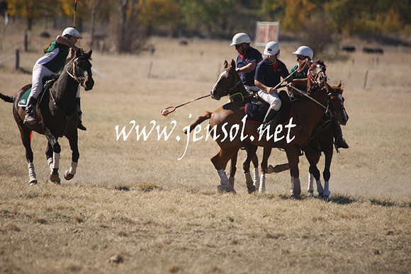 BungendorePolocrosse2013_1D_Sat_0025