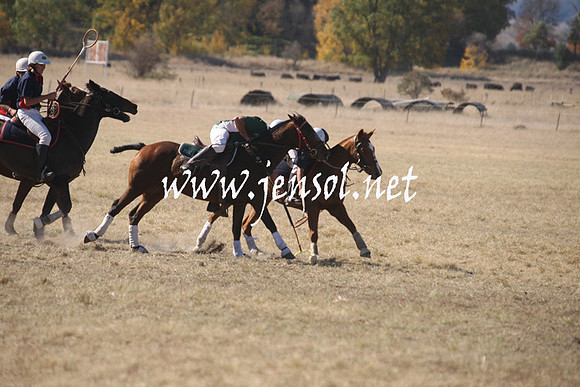 BungendorePolocrosse2013_1D_Sat_0053