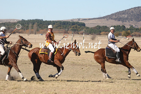 BungendorePolocrosse2013_1D_Sat_0286