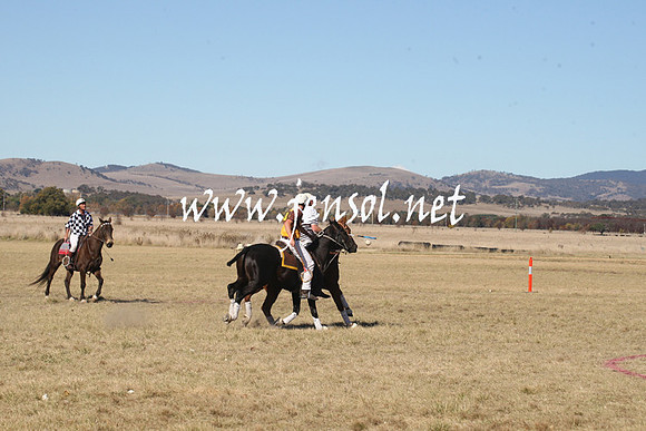 BungendorePolocrosse2013_1D_Sat_0193