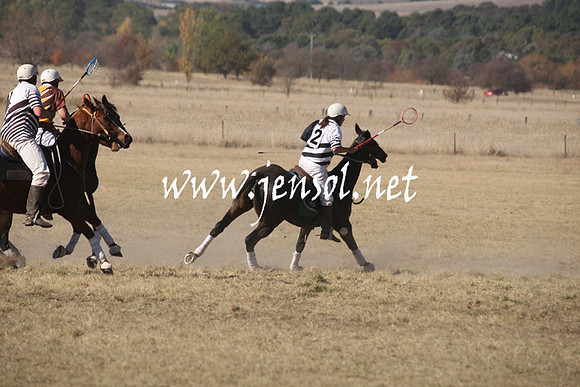 BungendorePolocrosse2013_1D_Sat_0213