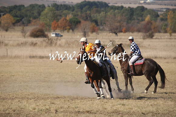 BungendorePolocrosse2013_1D_Sat_0266