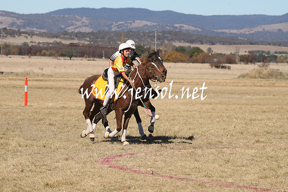 BungendorePolocrosse2013_1D_Sat_0081
