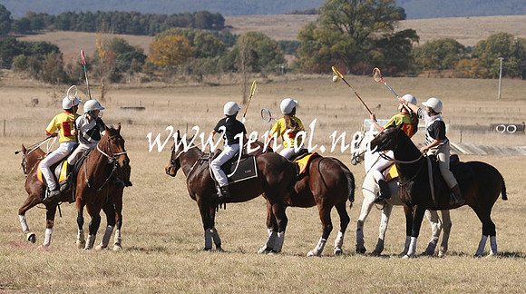 BungendorePolocrosse2013_1D_Sat_0064
