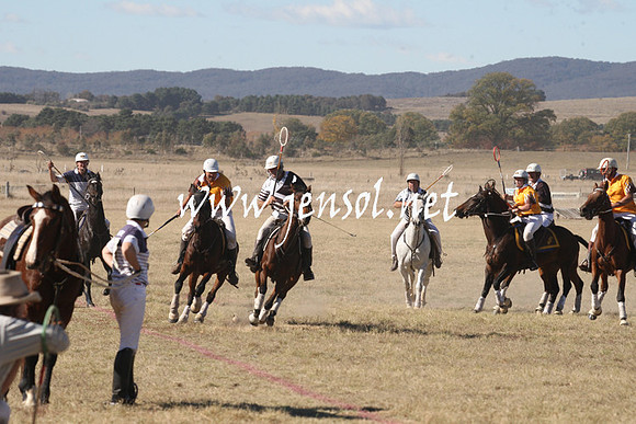 BungendorePolocrosse2013_1D_Sat_0261