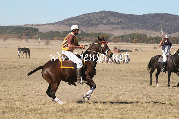 BungendorePolocrosse2013_1D_Sat_0349