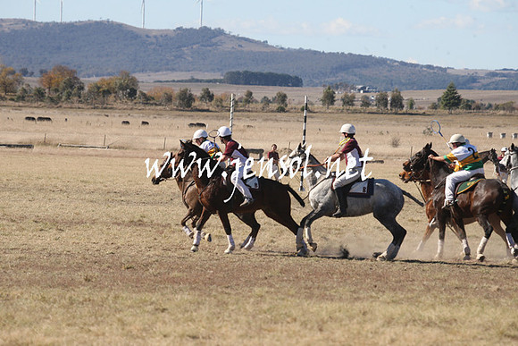 BungendorePolocrosse2013_1D_Sat_0336
