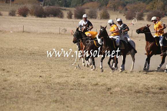 BungendorePolocrosse2013_1D_Sat_0241