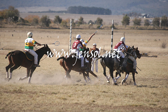 BungendorePolocrosse2013_1D_Sat_0152