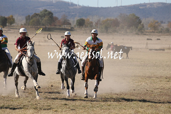 BungendorePolocrosse2013_1D_Sat_0328