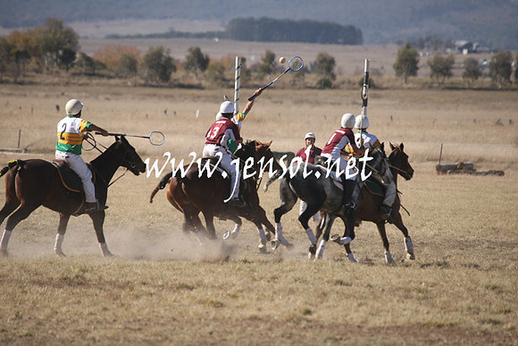 BungendorePolocrosse2013_1D_Sat_0151