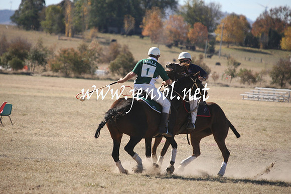 BungendorePolocrosse2013_1D_Sat_0019