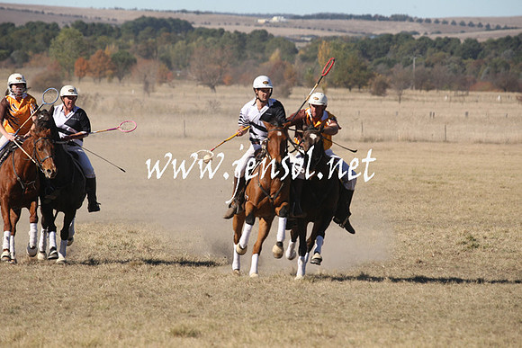 BungendorePolocrosse2013_1D_Sat_0158