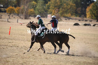 BungendorePolocrosse2013_1D_Sat_0018