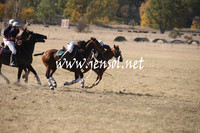 BungendorePolocrosse2013_1D_Sat_0051